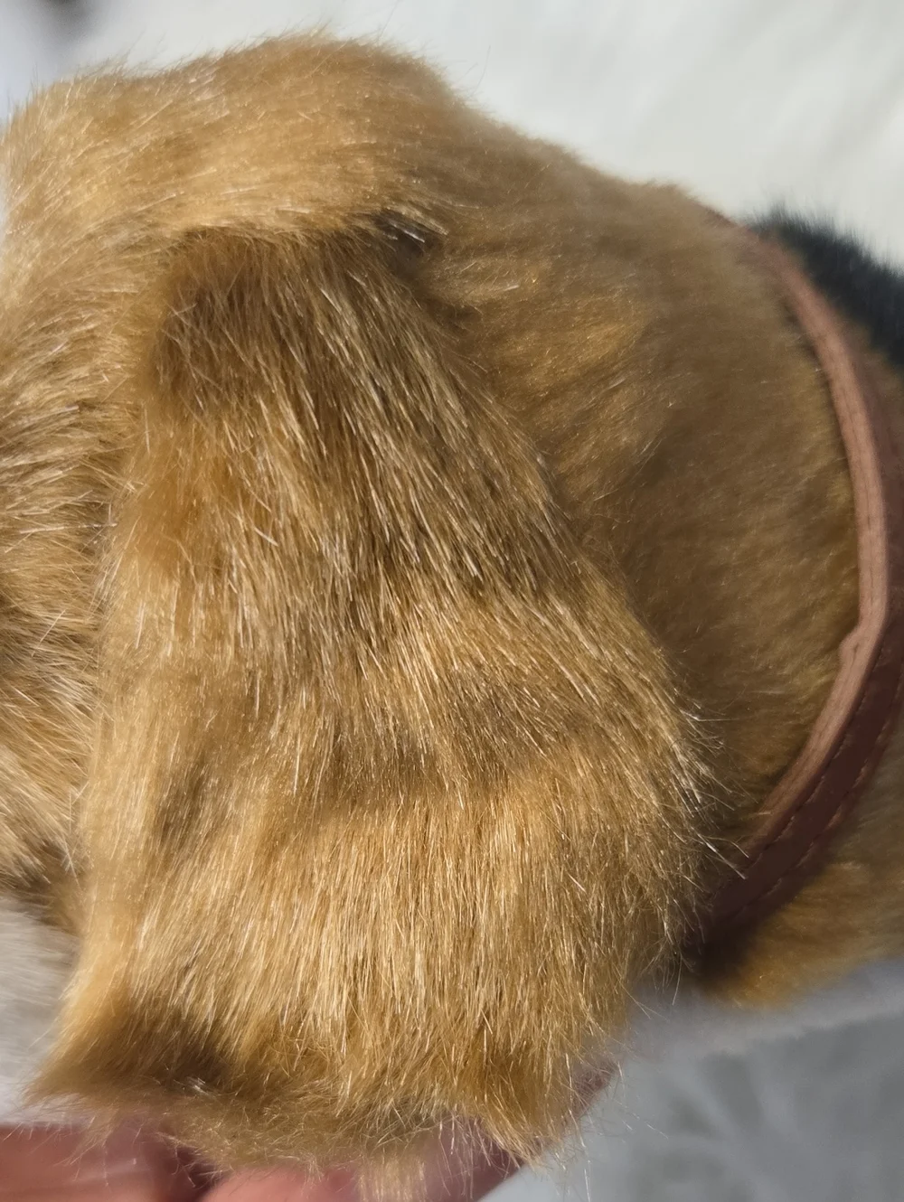 Perfect Petzzz Beagle Breathing Realistic Sleeping Pet Puppy Dog